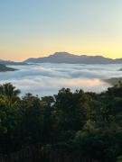 Top Tanay