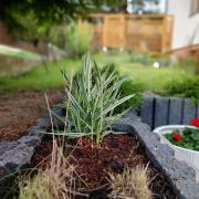 Top Meszna Top Meszna