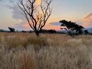 Top Buffelspoort