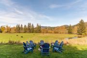 Top Tillamook