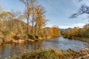 Top Tillamook