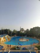 Midori Estudio Minerva