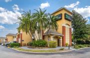 Top Tampa