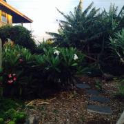 Top Kawailiula Top Kawailiula