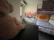 Top Certaldo Top Certaldo