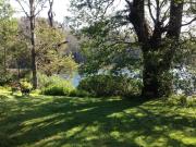 Top Valdivia Top Valdivia