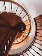 Top Castaño de Robledo