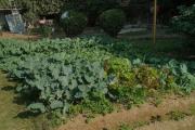 Top Gurgaon