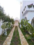 Top Tunis Top Tunis
