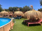 Casa Cobra Casa Cobra