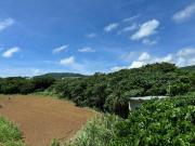 Top Ishigaki Island