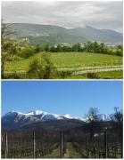 Top Breganzona Top Breganzona