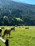 Top Urnerboden Top Urnerboden