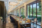 Top Dongguan