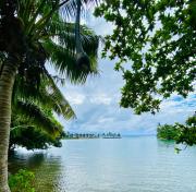 Top Apia