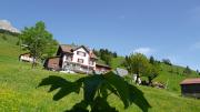 Gasthaus Schwand