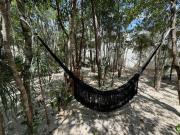 Botánics by Endémico Los Laureles