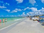 Top Siesta Key