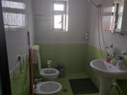 Top Shkodër Top Shkodër