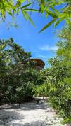 Top Pantai Cenang