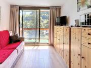 Studio lumineux 4 pers, Skis aux pieds, Animaux acceptés - FR-1-267-296