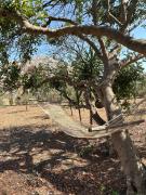 Top San Vito lo Capo Top San Vito lo Capo