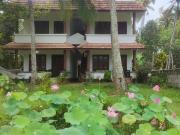 The Ricefield Escape