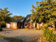 Top Steinberg Top Steinberg