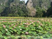 Top Ninh Binh