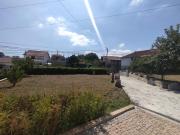 Top Penafiel