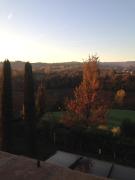 Top Castelvetro di Modena