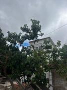 Top San Miguel de Abona