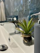 Top Olsztyn Top Olsztyn