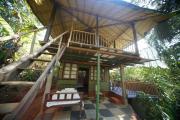 Top Agonda