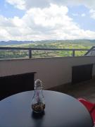 Top Palena Top Palena