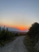 Selim Guesthouse