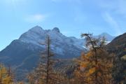 Top Saas-Grund