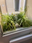 Top Saint-André-de-Sangonis