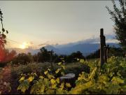 Top Laino Castello