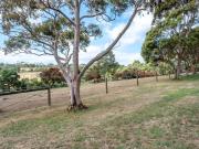 Gracies Lane Villa 2