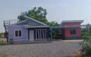 Top Arau