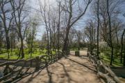 Top Bucharest