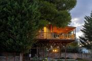 Sani Tree House Sani Tree House