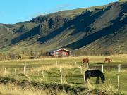 Broddaborg Apartments