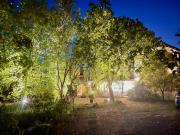 Top Dongshan Top Dongshan