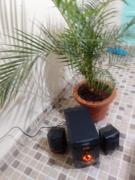 Leo World Class Homes