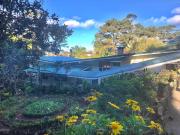 Mid-Century Modern Centrally Located Garden Oasis