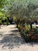 Top Pernes-les-Fontaines