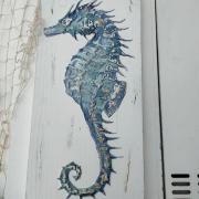 Top Pineto Top Pineto