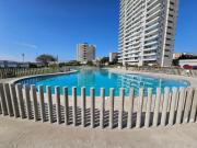 Top Coquimbo Top Coquimbo